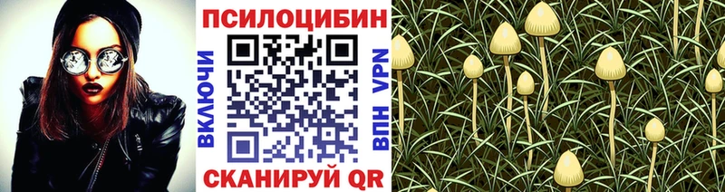 Галлюциногенные грибы мицелий Георгиевск
