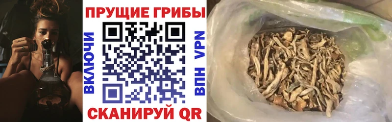 ссылка на мегу сайт  Георгиевск  нарко площадка клад  Галлюциногенные грибы мухоморы 