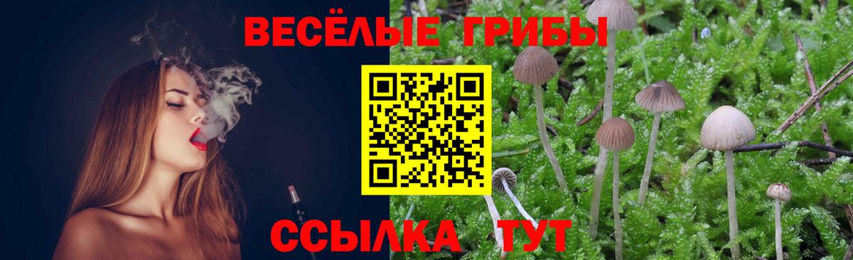 Георгиевск  Галлюциногенные грибы ЛСД  Вход с VPN 