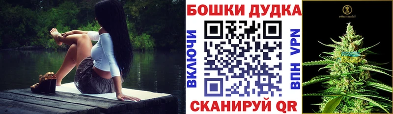 Конопля Ganja  Георгиевск 